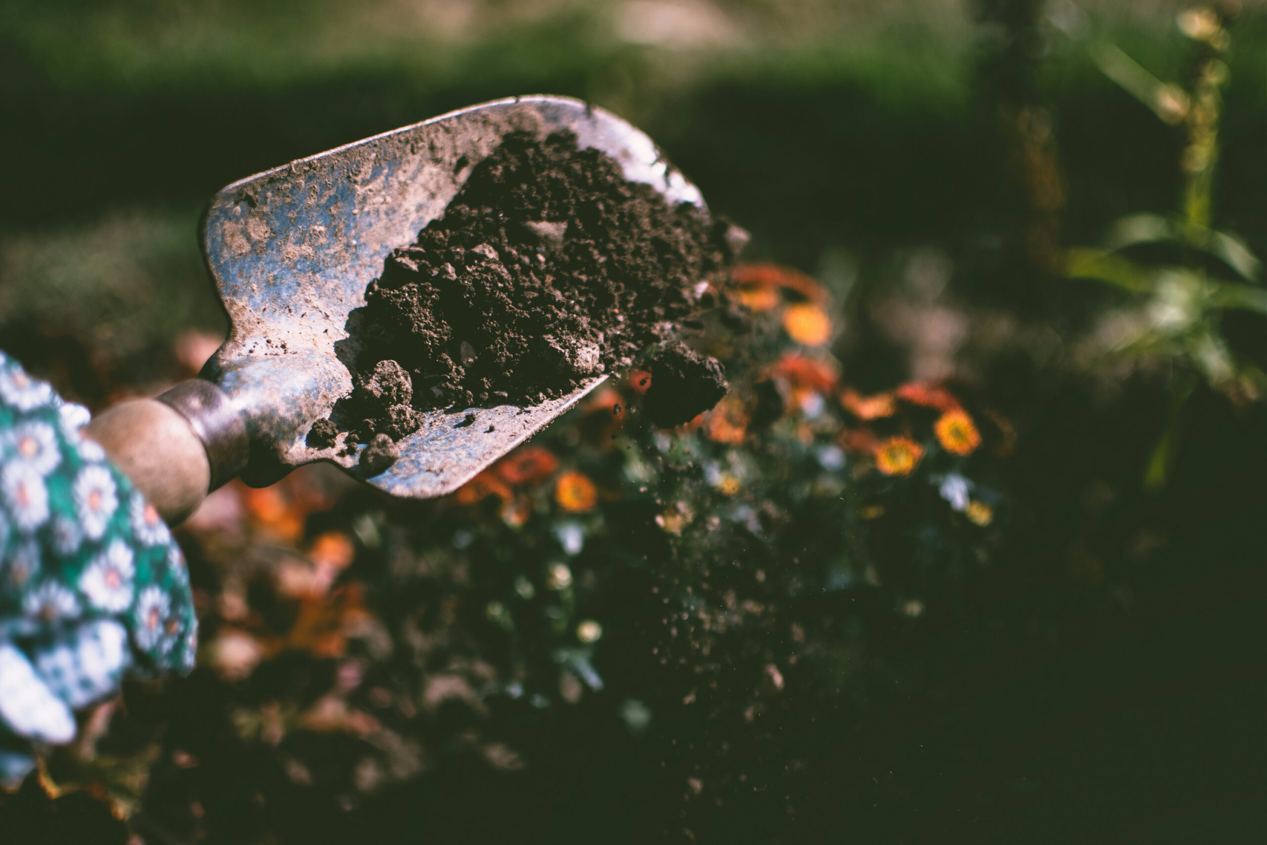 garden compost nutrient rich soil