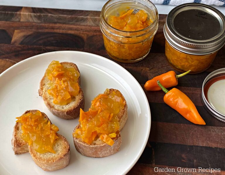 Hot Datil Pepper Jelly Recipe (St Augustine Style)
