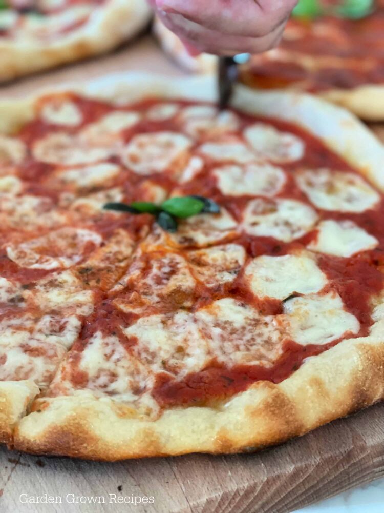 Hans Grill Pizza Stone for Grilling Delicious Pizzas