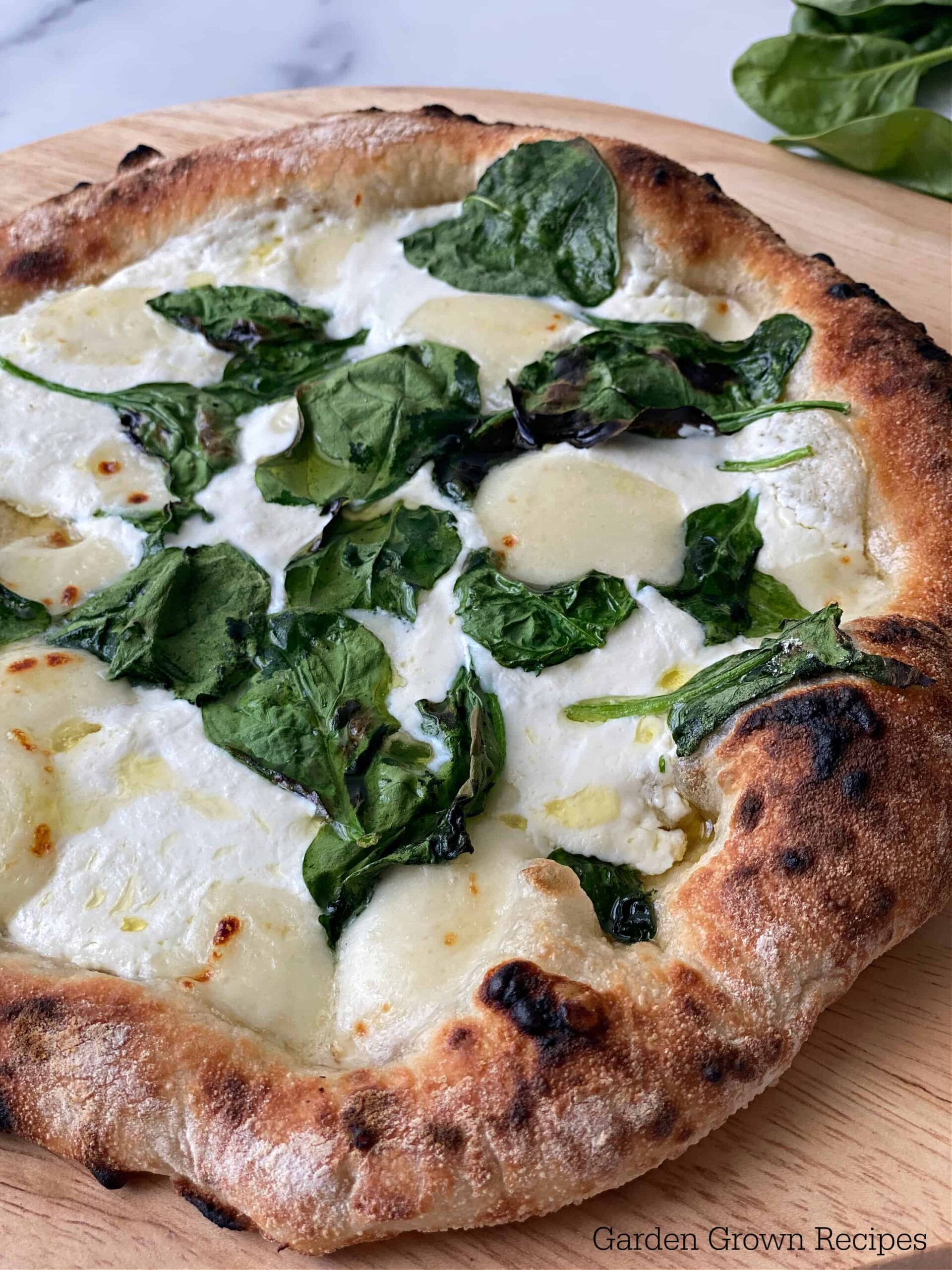 close up of homemade White Pizza Recipe with Spinach
