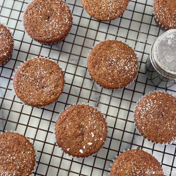 Vanilla Muffin Recipe for the Best Moist Muffins
