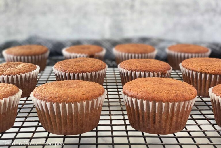 Vanilla Muffin Recipe for the Best Moist Muffins